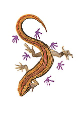 'Southern Striped Gecko Only Leaves Footprints' original watercolour painting