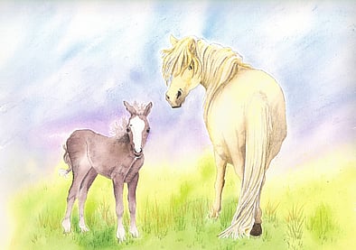 Horse portrait