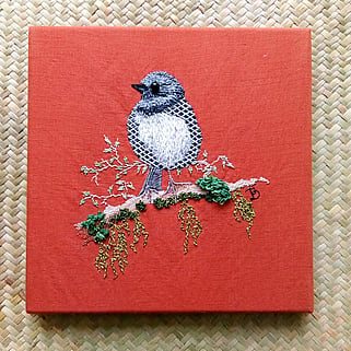 South Island Robin / Toutouwai