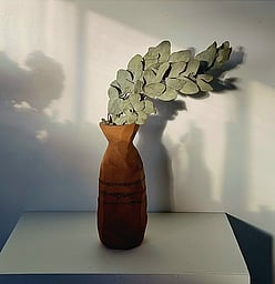 Michelle Connolly