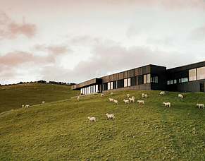 2026 Home Design Trends for Modern NZ Homes