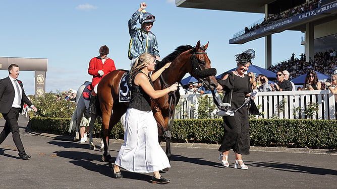 Road To Paris returns victorious following the Gr.1 HKJC World Pool New Zealand Derby (2400m). - Photo: Kenton Wright (Race Images