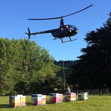 helicopter and tree