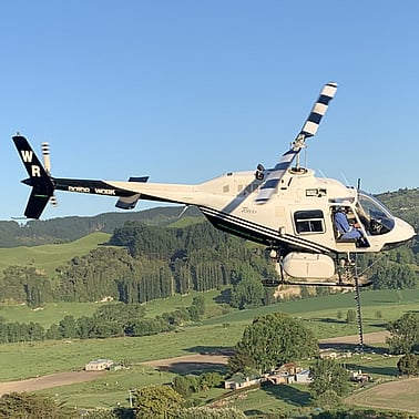 helicopter and tree