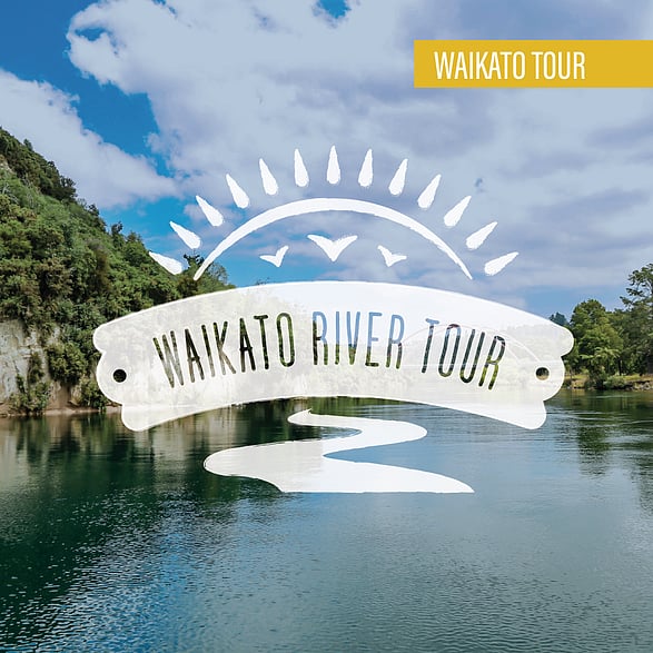 waikato scenic flights