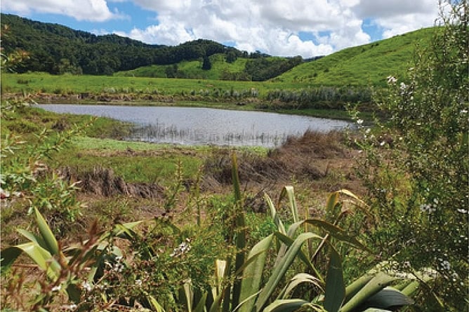 View of Waikato RiverCare's Mangawara Lagoon/Wetlands Project