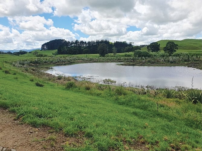 View of Waikato RiverCare's Mangawara Lagoon/Wetlands Project