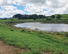 Waikato RiverCare's Mangawara Lagoon/Wetlands Project