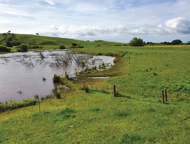 View of Waikato RiverCare's Mangawara Lagoon/Wetlands Project