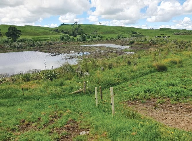 View of Waikato RiverCare's Mangawara Lagoon/Wetlands Project