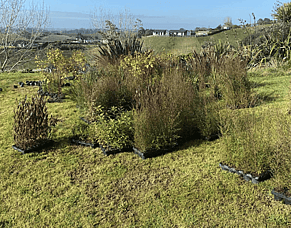 Hook Ihaka Whanau Mahi Kainga