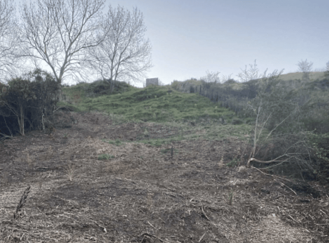 Image of site preparation and clearance before land restoration in Whatawhata.