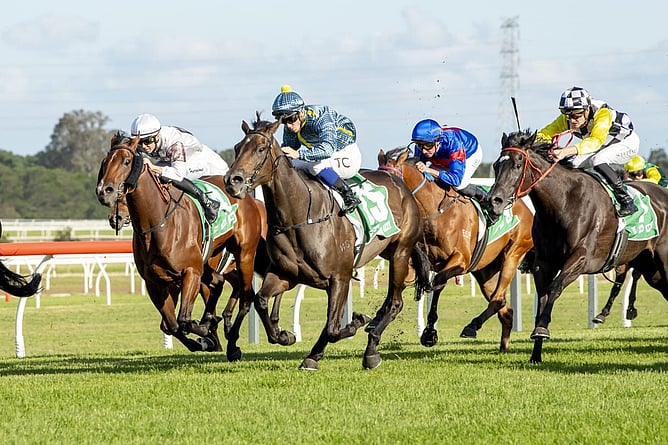 Feminino (centre) emerged as a potential Oaks filly after winning the Gr.3 Kembla Grange Classic (1600m). - Photo: bradleyphotos.com.au