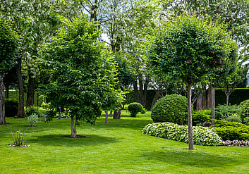 Strong root systems