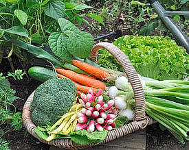Vegetables