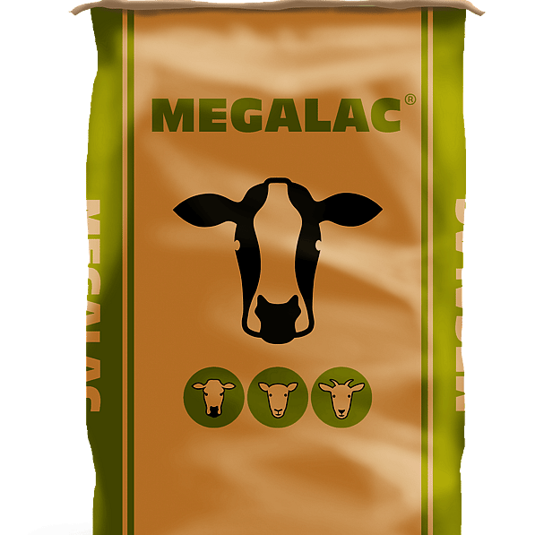 Megalac