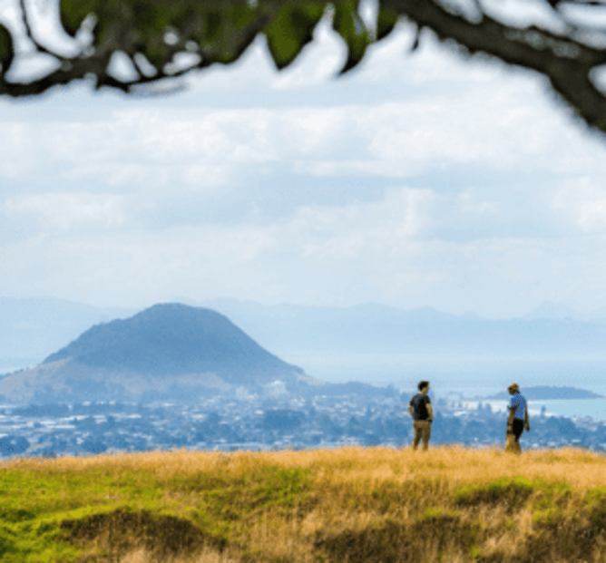 moped-blog-tourism-bop-tauranga-regional-place-brand