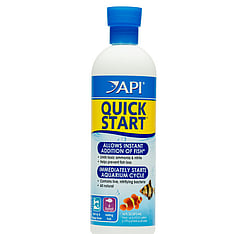 API Quick Start