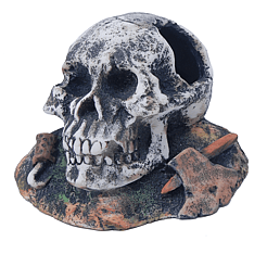 Skull with Hole 