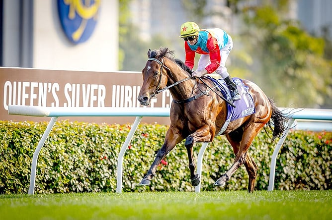 Ka Ying Rising remains the world&rsquo;s highest-rated horse in training with a rating of 128 in the March edition of the LONGINES World&rsquo;s Best Racehorse Rankings.  - Photo: Hong Kong Jockey Club