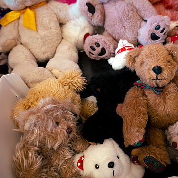 teddy bears