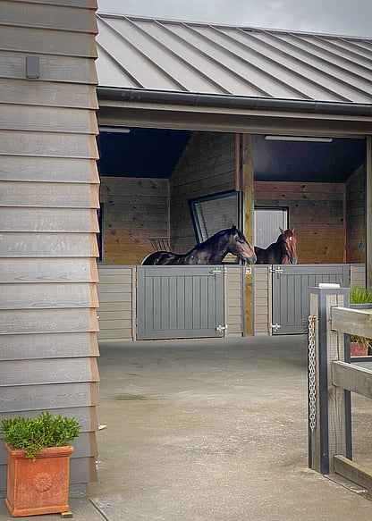 horses in two stables