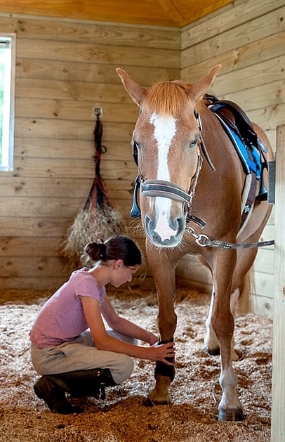 Stables