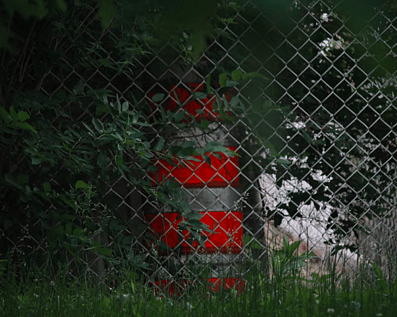Wellington Temporary Fence Hire & Sales. Price & Service Guarantee.  Commercial + Residential + Special Event Fencing Solutions.  Swimming Pool + Dog run temporary or semi-permanent fencing.
