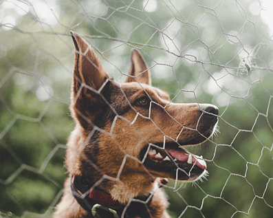 Wellington Temporary Fence Hire & Sales. Price & Service Guarantee.  Commercial + Residential + Special Event Fencing Solutions.  Swimming Pool + Dog run temporary or semi-permanent fencing.