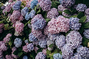Part 1 &ndash; The Decision to Transition