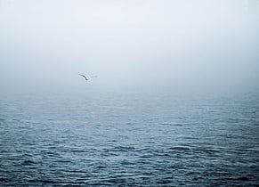 Part 2 &ndash; Leading With Values