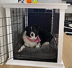 Crate Surround