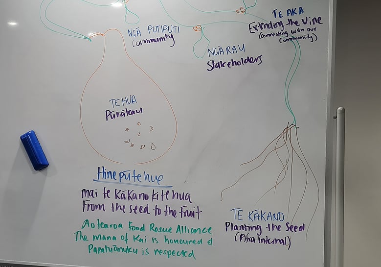 Whiteboard drawing of a plant concept with Māori labels, showing roots, vine and fruit to represent growth from seed to community.