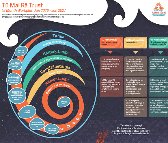 Strategic workplan graphic showing an 18-month plan with core values linked to goals and actions.