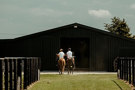 Equine & Stable Projects