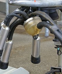 Milk Solids - 3,469,000 Kgs