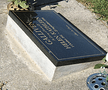 Plaque