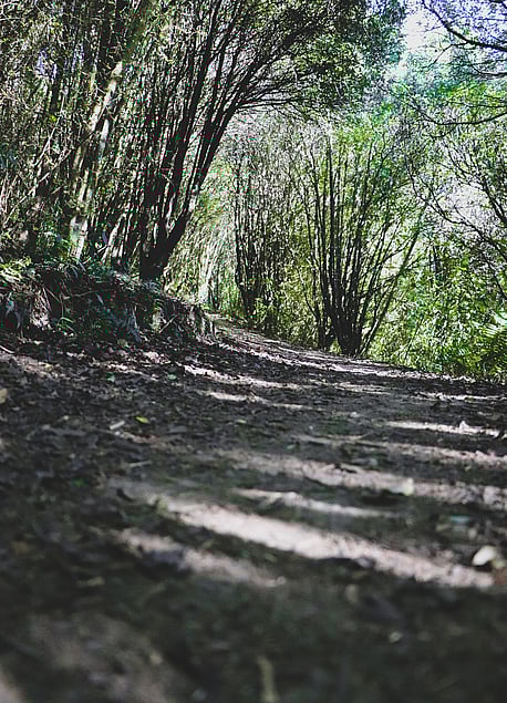 WAYS YOU CAN SUPPORT US