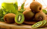Other Gourmet Vinegars