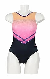 Zodiac Leotard - SUNSET-Child $64.99 / Adult $74.99- - - - - - - - - - - - - - - - ORDER NOW >