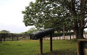 Lusitano