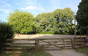 Lusitano