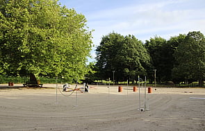 Lusitano