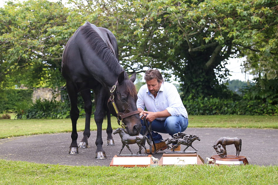 Prolific sire Savabeel pictured with Mark Chittick in 2021