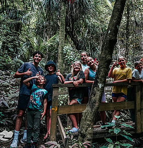 Bush Walk