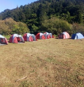 Campouts