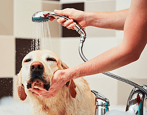 Hot Water Heat Pumps vs. Traditional Water Heating Solutions: A Comparative Guide