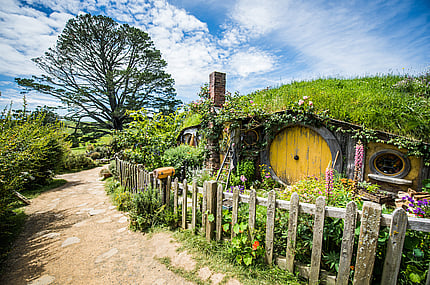 Exploring New Zealand
