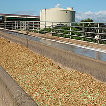 Farm Feedpad