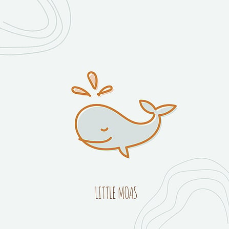 Little Moas ELC  &bull; Branding update, website design, social media